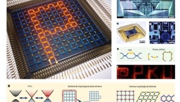 Breakthrough! Chinese Team Successfully Develops Fully Programmable Topological Photonic Chip
