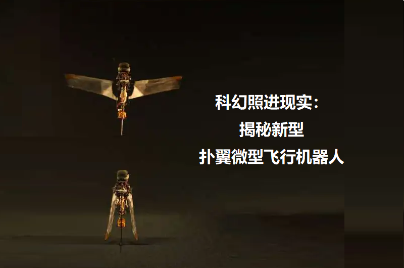 图：瑞士洛桑联邦理工学院和韩国建国大学研究人员联合研制新型扑翼微型飞行机器人