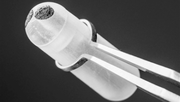 An Edible Toothpaste Based Transistor