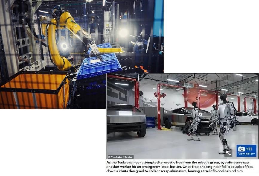 Pictured: Robots in Tesla and Amazon factories