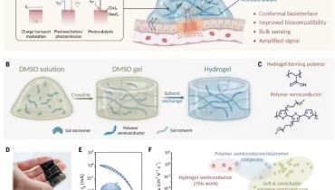 81 Kpa Modulus and 150% Stretchability Lead the Future of Bioelectronics