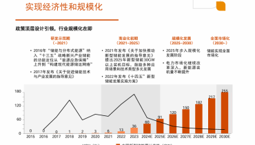 Insights on Storage Energy Trends (1)