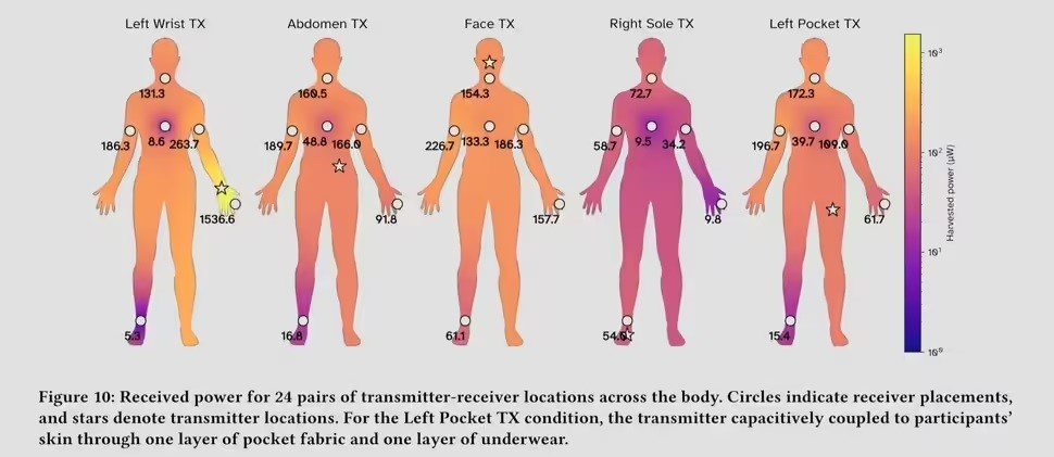 Figure: Researchers have found that the human body is able to efficiently produce 40 MHz of RF energy