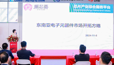 Southeast Asian Electronic Components Market Development Strategy