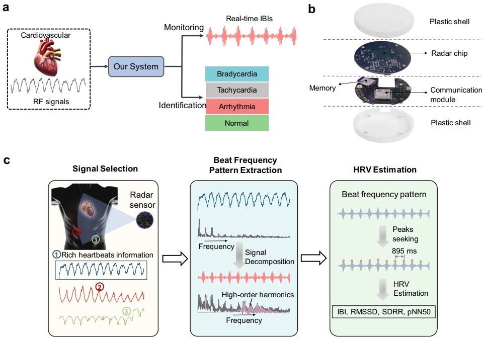 Figure: Schematic diagram of the flow of the non-contact cardiac activity monitoring system