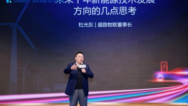China's New Energy Industry at a Crossroads: Challenges and Pathways to Global Leadership