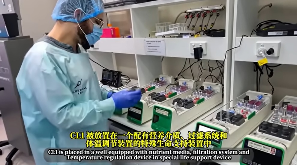 图：生物计算机CL1，将人类神经元与硅基芯片融合